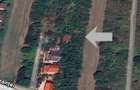 Vanzare teren intravilan 5014mp Afumati - Strada Sperantei - 2