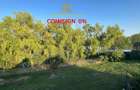 Teren Baneasa - deschidere la lac - ideal vila - premium- 2000 mp - 1
