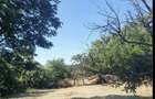 Casa Verbita+Livada de Pruni - 3