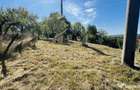 TEREN INTRAVILAN 3234 MP LERE?TI VOINE?TI ARGE? - 5