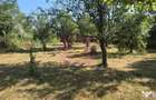 Teren intravilan de vanzare 3375 mp in Brebu - Brebu (Prahova)