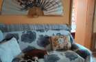 Apartament de vanzare sau schimb cu casa - 1