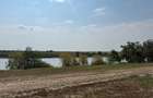 Teren intravilan Miersig, vedere la lac. 12,5 E/mp neg. Comision 0 - Miersig (Bihor) - 14
