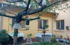 Casă cu 2 camere cu Teren 360 Mp în Sud - 1