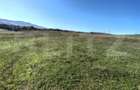 Teren intravilan de vanzare - 5