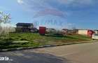 Teren intravilan 1500 mp Snagov, Ghermane?ti langa Penny - 8