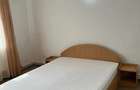 Pf Apartament cu 1 camera zona Podul de Fier - 5
