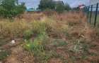 Teren Construcții de 400 mp, în Măgurele - 3