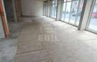 Spatiu comercial, zona Terra - 8