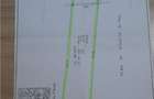 Domeniu verde autentic, +5.000mp, front la DJ, Valcele, Brasov -- Cov - 6