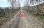 Teren extravilan Valea Doftanei 20.500 mp 6e mp - 17