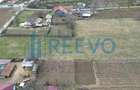 Teren de vanzare, Sat Bazga, Com. Horge?ti, Bacau - 3