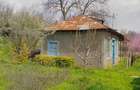 Somova-casa batraneasca - 1
