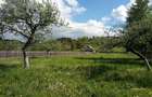 Teren intravilan la munte, in Nereju, Vrancea - 3