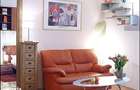 Apartament cu 2 camere semidecomandat în Ultracentral - 8