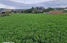 Vand teren intravilan 3500mp,sat Costana, com Todiresti - 2