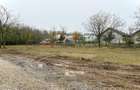 Teren intravilan de vanzare in Snagov Ciofliceni - 3