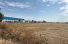 Teren Construcții intravilan de 5000 mp, în Sud - 2