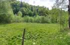 Teren de vanzare+padure+casu?a - 5