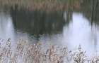 Casa Iesire Lac La 45km de Bucuresti la Prunaru! - 4