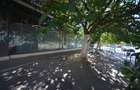Spatiu comercial de inchiriat - 600 mp - Muncii - Decebal - 30