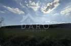 Teren de 9700 mp, în Budiu Mic - 3