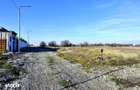 TEREN de colt 740mp zona exclusivista Izvorani Delta Snagov 100m lac - 3