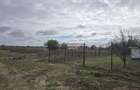 Comuna Amzacea- sat G.Scarisoreanu -Ferma zootehnica , teren 5,1ha - 1