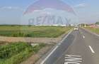 Teren intravilan de 3675 mp, în Săbolciu - 4