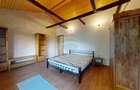 Hotel/Pensiune, de 31.60000038147 mp, în Sohodol - 2
