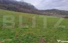 Teren superb 2.500 mp in Nicula lini?te, natura ?i p - 1