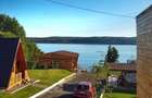 Teren Construcții de 5000 mp, în Budeasa Mare - 1