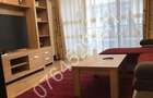Apartament cu 2 camere decomandat în Herăstrău - 13