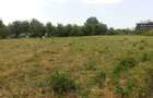 Teren Construcții de 6000 mp, în Dămăroaia - 15