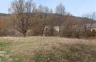 Teren Darmanesti, zona lac Valea Uzului, 3200 mp - 4