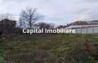 Teren Intravilan Baicoi 1061 mp - 4