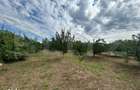 Teren intravilan, 6796 mp, zona Crangurile de Jos - 3