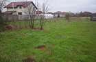 Teren de vanzare Cornetu, Ilfov Strada Bradului - 5