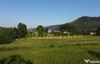 Teren 10304 mp cu casa locuibila! In Bucovina, Zona M... - 5