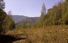 Proprietate rara in inima Retezatului 5.700 mp teren intravilan - 16