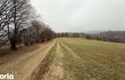 Teren spectaculos 3,5HA zona Cisnadioara - 1