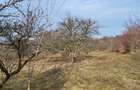 Teren Intravilan 43Ari zona Ortelec-Zalau intre case 4800eur/ar - 11