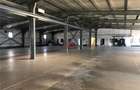 Spațiu comercial, de 750 mp, în Pantelimon - 11
