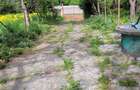 Teren 2712 mp Mischii, sat. Urechesti, Str Florilor, Nr. 56 - INTRAVILAN - 6