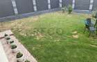 Casă cu 2 camere cu Teren 360 Mp în Paleu - 11