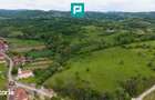 Proprietate de poveste-Valea Mure?ului - Lupe?ti - 8