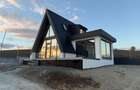 Vand Casa tip A-frame - 2