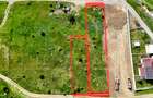 Teren Construcții de 2600 mp, în Palazu Mare - 5