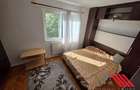 Apartament cu 2 camere semidecomandat în Șagului - 10