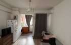 Apartament o camera Concept Moara de Foc - 3